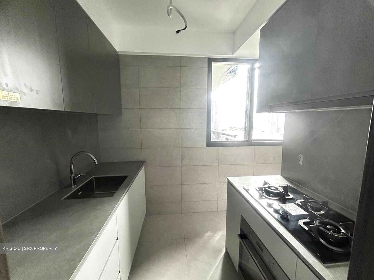 Parc Clematis (D5), Apartment #497044711